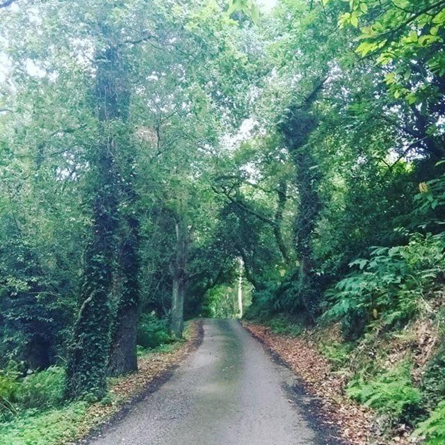 Cantabria Somavilla מראה חיצוני תמונה